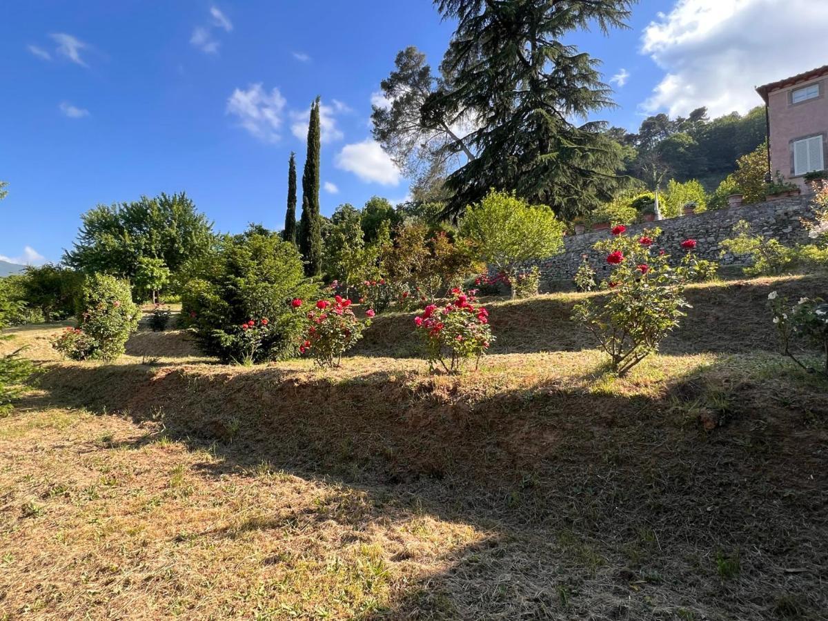 Borgo Al Canto Degli Alberi Lukka Zewnętrze zdjęcie