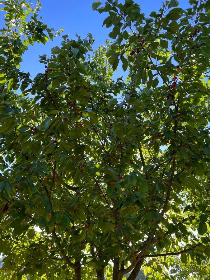 Borgo Al Canto Degli Alberi Lukka Zewnętrze zdjęcie