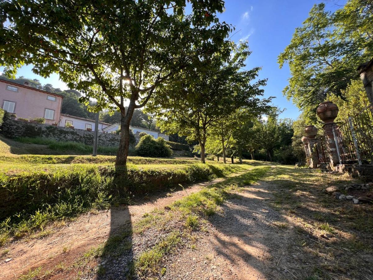 Borgo Al Canto Degli Alberi Lukka Zewnętrze zdjęcie
