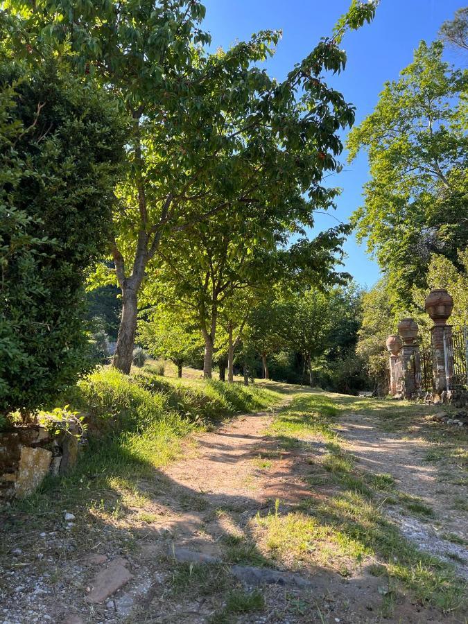 Borgo Al Canto Degli Alberi Lukka Zewnętrze zdjęcie